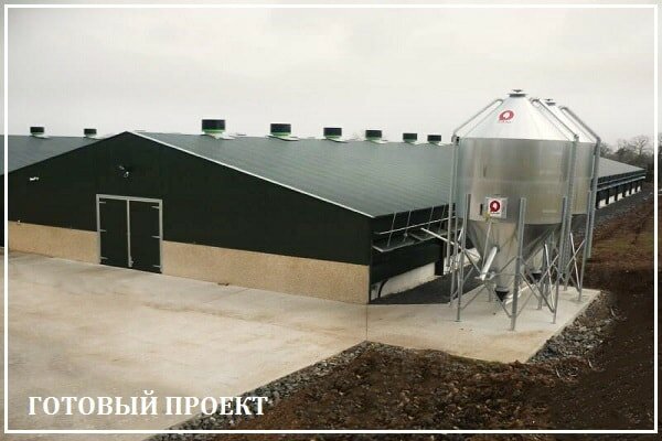 Этапы возведения птицефабрики от завода ВелесТент-мрс